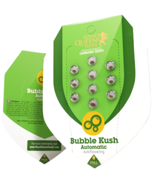 Royal Queen Seeds, USA premium, bubble kush automatic